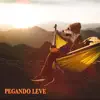 Amaral Oficial, Márcio Lugó & Andrei Furlan - Pegando Leve (feat. Xandão) - Single